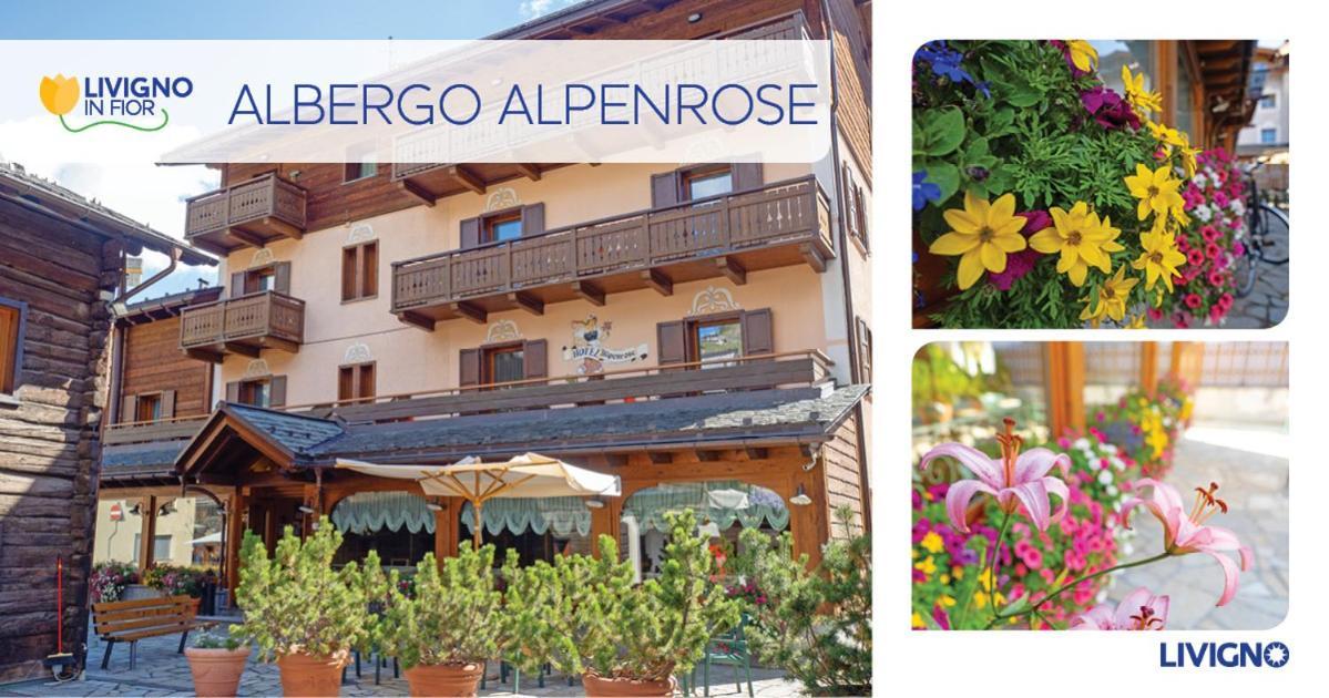 Albergo Alpenrose Livigno Extérieur photo